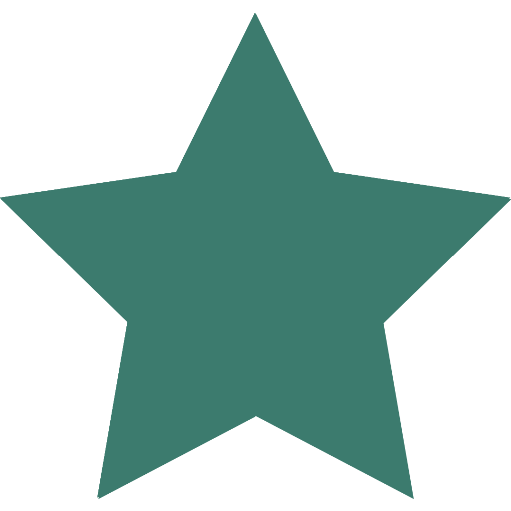 Ícone de estrela simbolizando sucesso, reconhecimento, excelência e resultados alcançados.