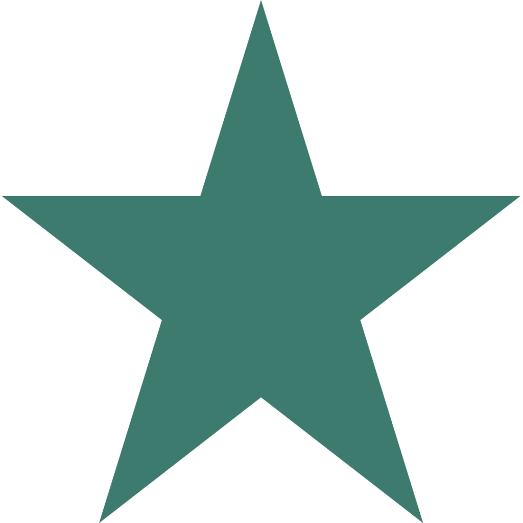 Ícone de estrela sólida simbolizando legado cultural, reconhecimento, impacto duradouro, excelência e valor deixado por projetos e iniciativas culturais.